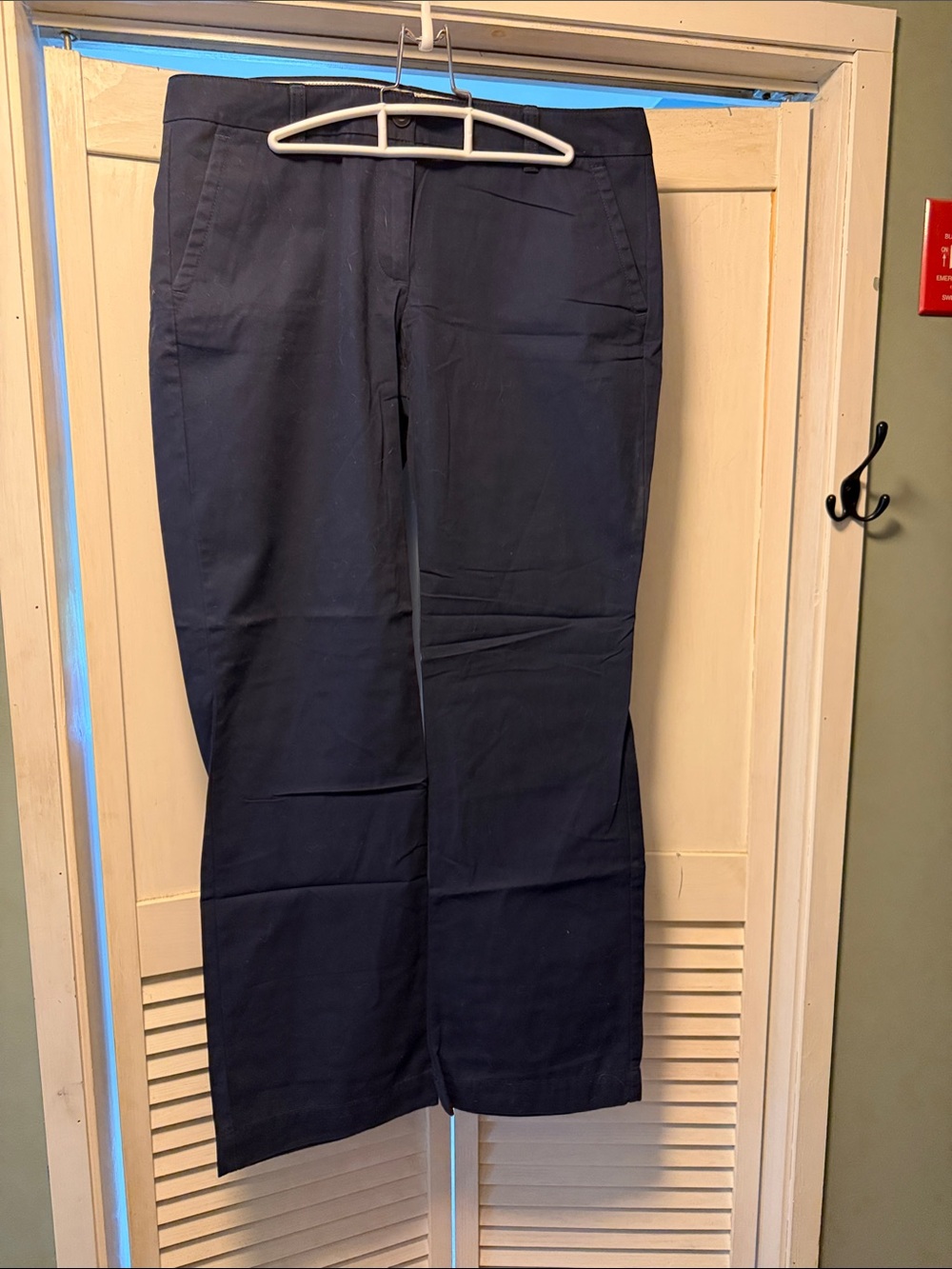 GAP Straight-Leg Pants in Navy
